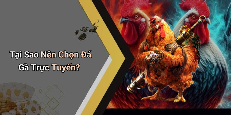Đá gà LOTO188