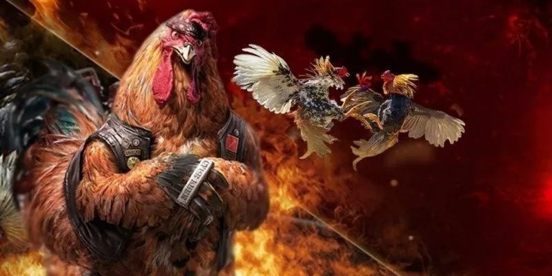 Đá gà online có bịp không? Những chiêu trò lừa bịp người chơi phổ biến 3 Đá gà online có bịp không